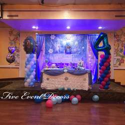Frozen Birthday Party  - Frozen princess