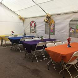 Mario's Birthday party - Mario