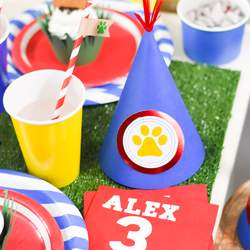 Paw Patrol / Birthday "Puppy Birthday Party for Cricut" | Catch My Party