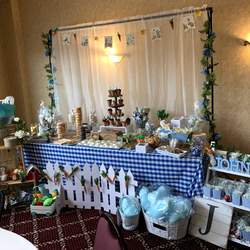 Peter Rabbit Christening/Baptism Party - Peter Rabbit
