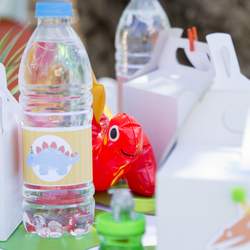 Lysandro turns 3 - Dinosaurs