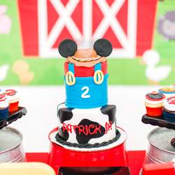 Mickey Mouse / Birthday "Pj and Mickey's Barnyard" | Catch My Party
