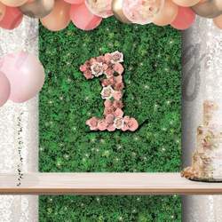 Blush Roses Number One 1st birthday - None
