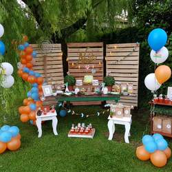 El Baby Shower de Noah - Animales de Bosque
