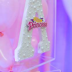Welcoming a Princess  - Princess & Tutus