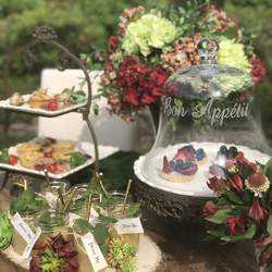 Enchanted Woodland Party - Enchanted Woodland 