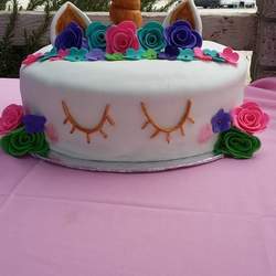 Camping party - Unicorn 