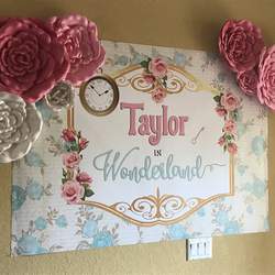 Budget Wonderland - Alice in Wonderland