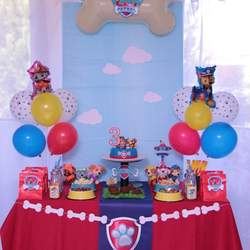 Paw Patrol Party - Paw Patrol