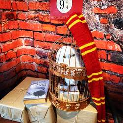 Harry Potter 12th Birthday - Harry Potter