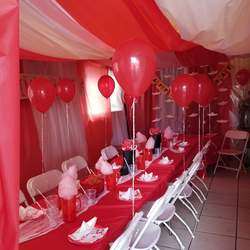 Camryn's 12th IT Party - IT 2