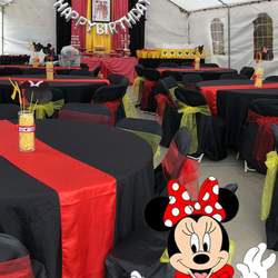Kayleigh’s Two-ddles Party  - Minnie Mouse 