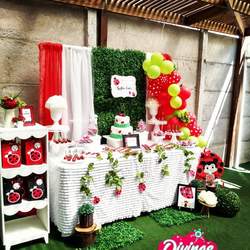 Ladybugs Birthday Party - ladybugs