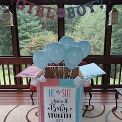 Katie & Dennis' BABY-Q Cookout Gender Reveal - Gender Reveal