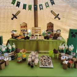 Salvador's Minecraft Party - Minecraft
