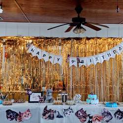 Paw-ty Animals Birthday Bash - Animals - cat and dog
