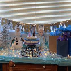 Queen Elsa  - Disney Frozen 