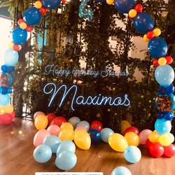 Max had a Birthday Party  - Paw Patrol