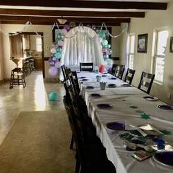 Frozen Girl Summer Party - Frozen (Disney)