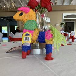 Mis Quince - Mexican fiesta