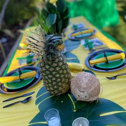 Jamaican 18th Birthday Socially Distanced Party - Jamaica