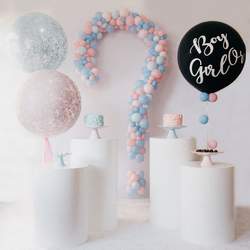 Gender Reveal - Gender Reveal