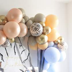 Safari party  - Safari