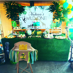 wild one birthday - wild one