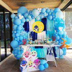 BRAYDEN'S TWO DOOO DOOO BIRTHDAY  - Babyshark Theme 