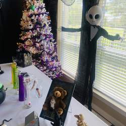 Nightmare Before Christmas  - Jack’s  Lab