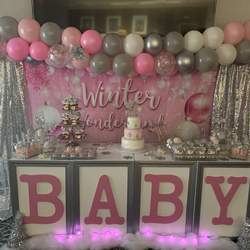 Amora's Winter Wonderland  Baby Shower - Winter wonderland 