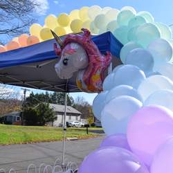 Rowan’s Unicorn Birthday Parade Party! - Rainbows & Unicorns
