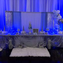Winter Wonderland Baby Shower - Winter Wonderland 