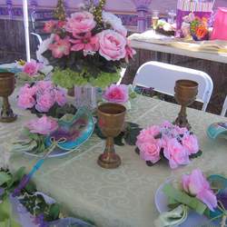 Kayla's 5th Birthday - Princess & The Frog Party