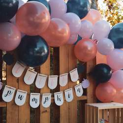 Welcome Little Pumpkin - Baby Wright's Gender Reveal - Little Pumpkin!