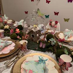 Kiana’s Magical Birthday - Enchanted Forest 