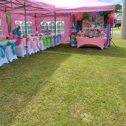 CHASSIDY'S PowerPuff Girls Tent Party - Powerpuff Girls