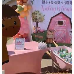 VicCi’s 3rd Barnyard Bday drive by style - Barnyard