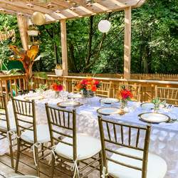 Backyard Dinner Party - Classy Dinner Party