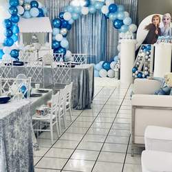 Abigails Ice Cold Birthday Bash - Frozen (Disney)