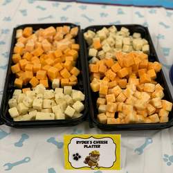 DJ’s 1st Paw-Ty - Pups on a Roll 