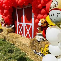 Israel’s 1st Barn Yard Party!  - A Barn Yard in the City 