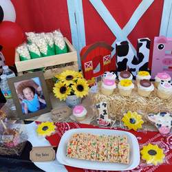 Willow’s Farm Party - Farm