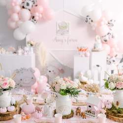 Amy’s Pink Farm Party - Pink Farm 