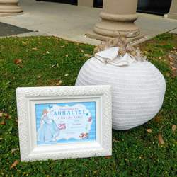 Annalyse's 3rd Birthday - Cinderella 
