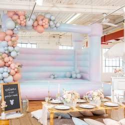 Gender Reveal Dreaming - Pink and Blue Pastels