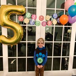 Wild Kratts Birthday Party - Wild Kratts