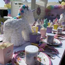 Unicorn / Birthday 