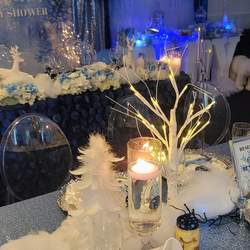 Baby Bentley's Winter Wonderland - Winter Wonderland
