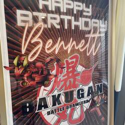 Bakugan Birthday Party - Bakugan